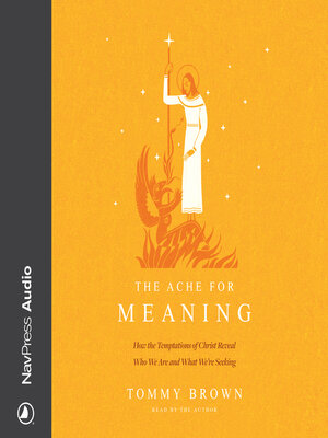 cover image of The Ache for Meaning